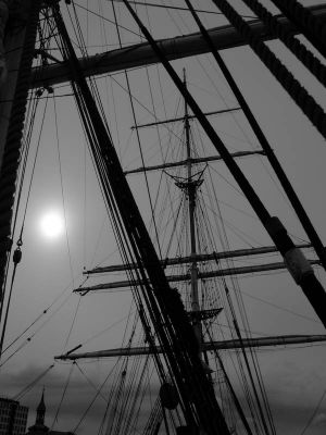 Trois-mâts Statsraad Lehmkuhl, Haubans